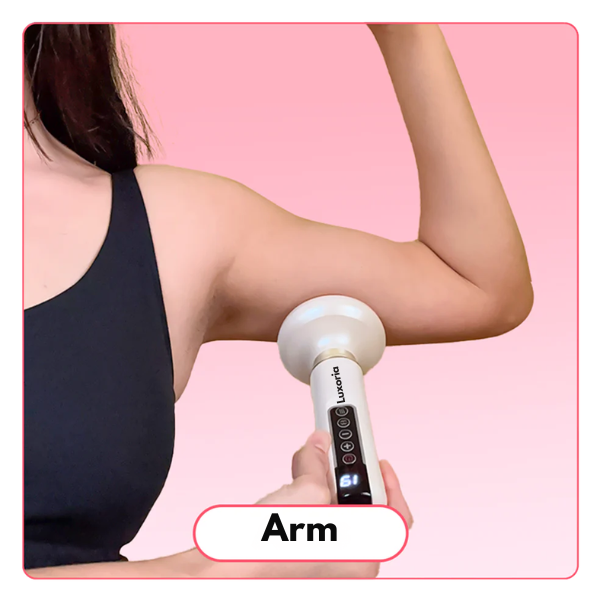 <p><strong>Arme</strong></p>