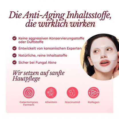 Anti-Aging Inhaltsstoffe – Galactomyces, Allantoin, Niacinamid, Kollagen